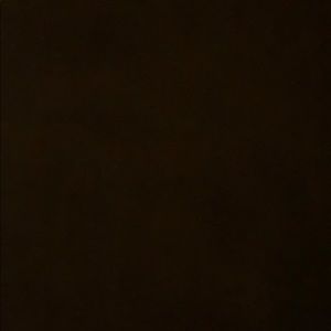 Meet your Posher, Terri